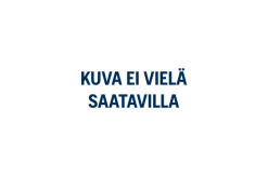 Magura Torx Vaihdetyökalu